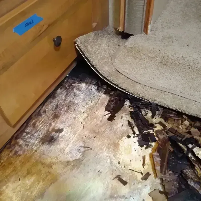 Best Wood Floor Water Damage Service in Okmulgee, OK